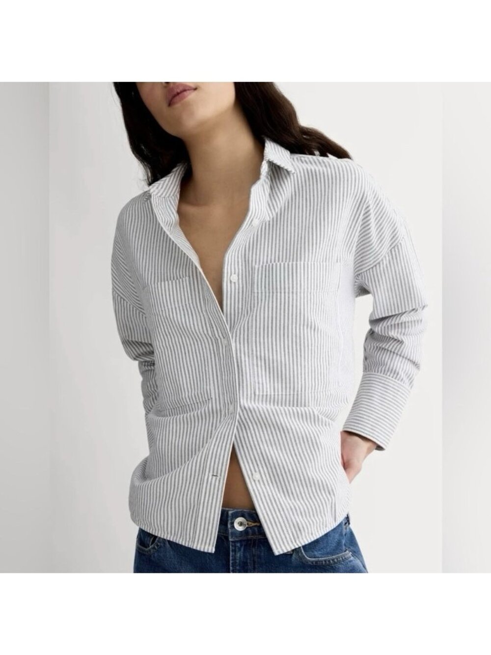 Everlane The Boxy Oxford Shirt Striped Blue White